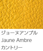 ジョーヌアンブル