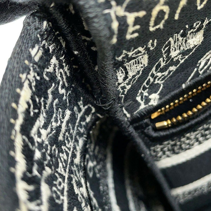 クリスチャン・ディオール ハンドバッグ レディディーライト Plan de Paris ミディアム M0565OOMP_M993 2way 黒