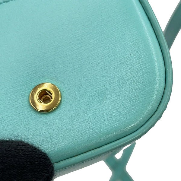 セリーヌ イヤホンケース AirPods トリオンフ シャイニーカーフレザー 10L013DPV CELINE