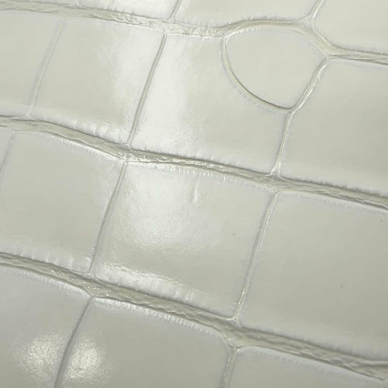 ルイヴィトン ハンドバッグ アリゲーター カプシーヌMINI N93701 LOUIS VUITTON 2wayショルダーバッグ 白 ホワイト