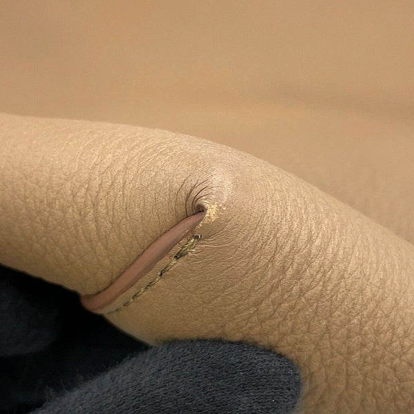 ザ ロウ トートバッグ N/S パーク トート ラージ レザー W1273 THE ROW