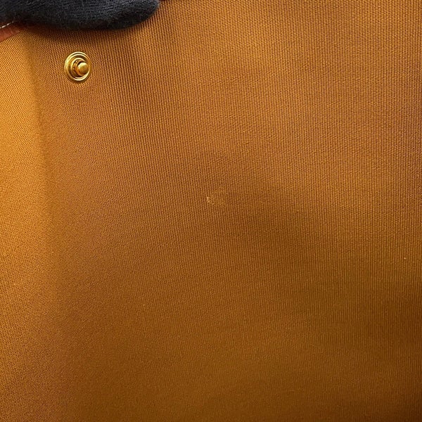 セリーヌ トートバッグ トリオンフ カバ ホリゾンタル 197912 CELINE