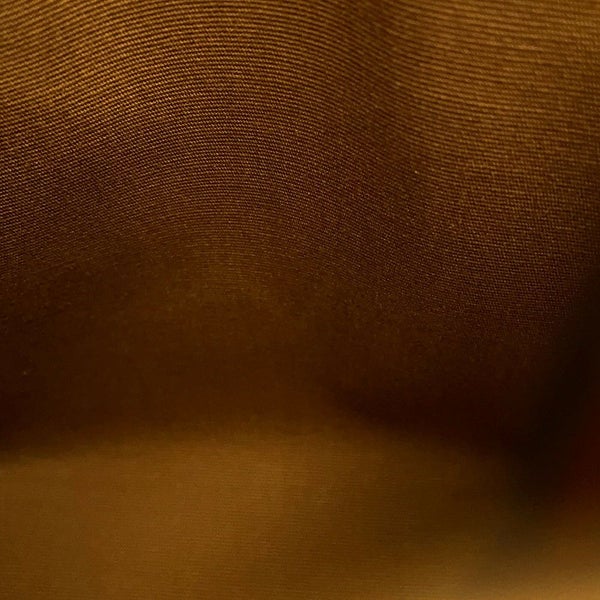 セリーヌ ハンドバッグ トリオンフ ミニ バーティカル カバ 194372 CELINE 2way