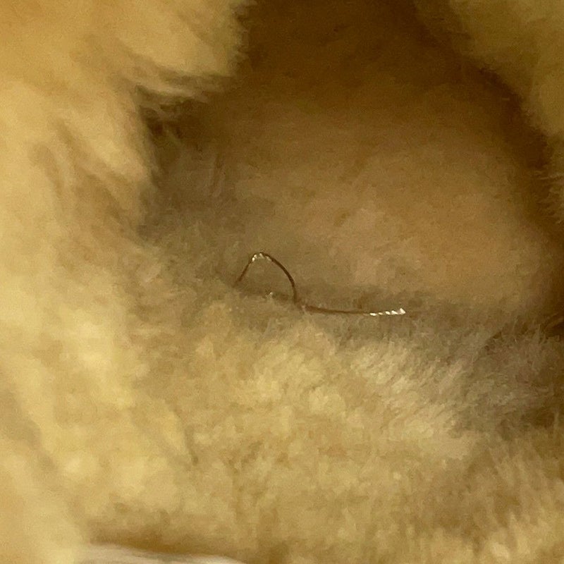 アグ ロングブーツ クラシックトール レディースサイズ7 5815 UGG 靴