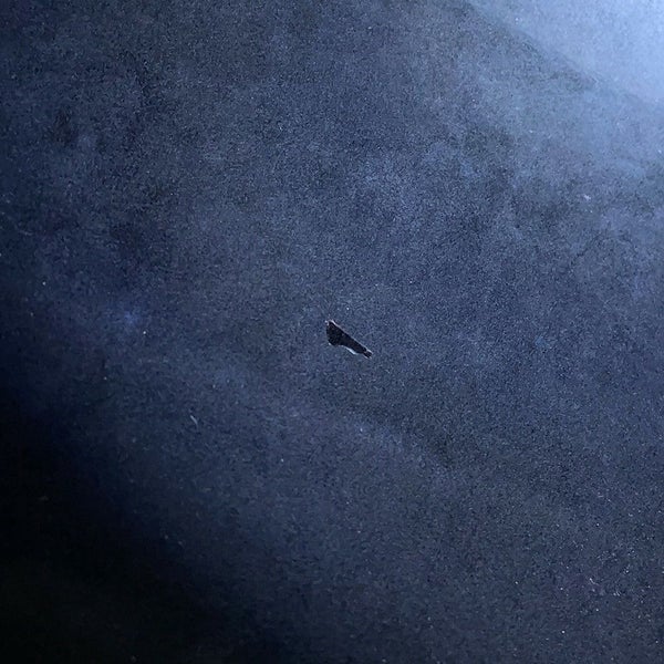 ディオール トートバッグ ブックトート オブリーク ラージ カーフレザー M1286ZWSO トロッター 黒