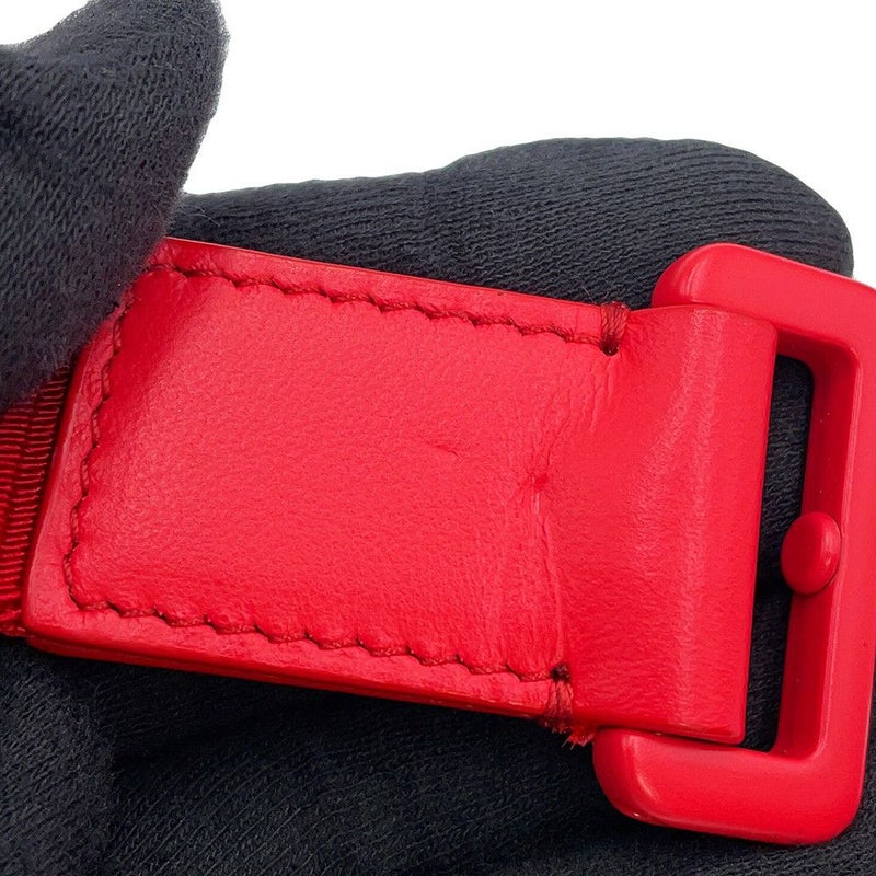 クリスチャン・ディオール ショルダーバッグ ERL コラボ ミラージュ ジップポーチ 2ESBC119RAY Christian Dior