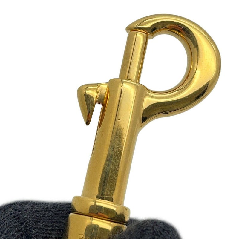 セリーヌ ハンドバッグ ティーン ニノ スムースサテンドカーフレザー 118113GG2.01RC CELINE 2wayショルダーバッグ