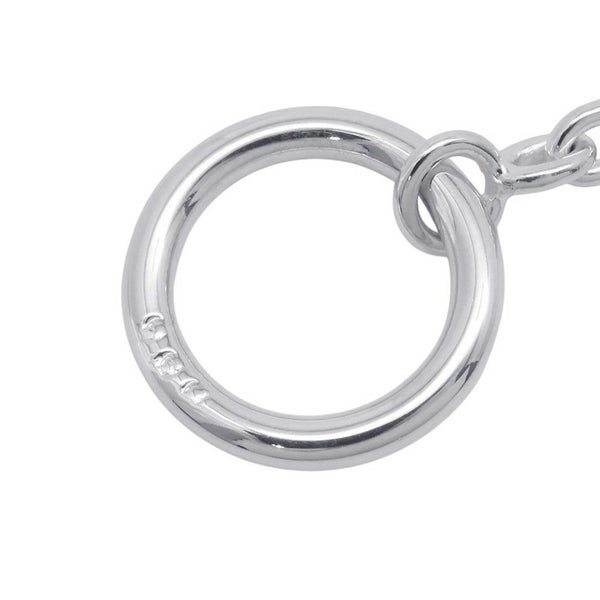 エルメス ネックレス シェーヌダンクル ファランドール サイズ120 SV925シルバー HERMES ジュエリー