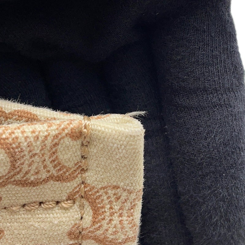 セリーヌ ハンドバッグ トリオンフ カバ タイス スモール キャンバス 199162FRF CELINE 2wayショルダーバッグ