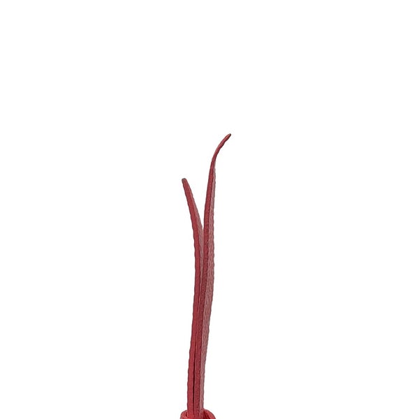 ルイヴィトン チェーンウォレット モノグラム ポシェット・フェリシー ラブリーバード M62426 ヴィトン 財布