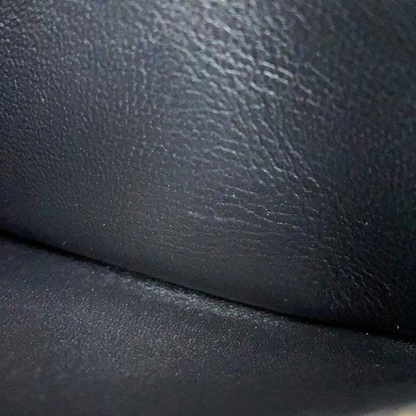 ロエベ ショルダーバッグ ゴヤ パファー ミニ シャイニーナパラムスキン A896W56X01 LOEWE 黒