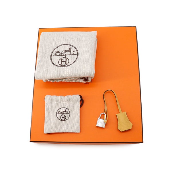 エルメス バーキン25 パイユ/シルバー金具 トゴ G刻印 HERMES Birkin ハンドバッグ