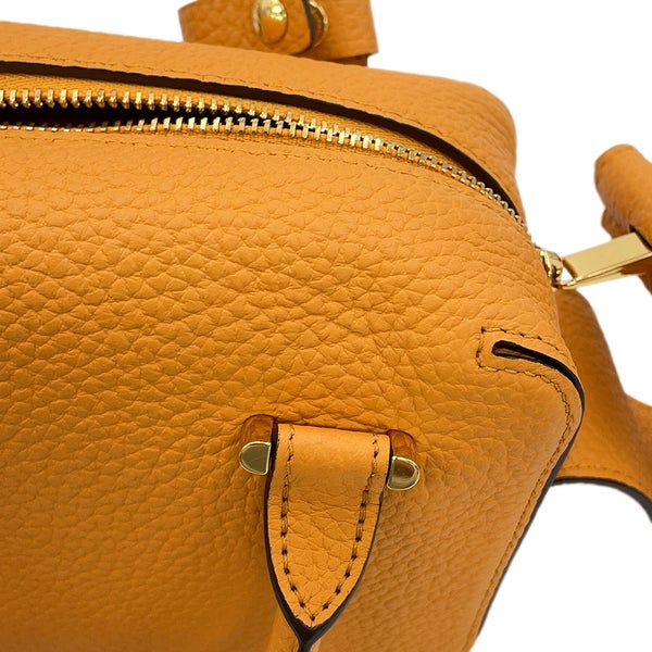 デルボー ハンドバッグ クールボックス ナノ トリヨンソフトレザー AA0567AQY0AZCDO Delvaux 2WAY