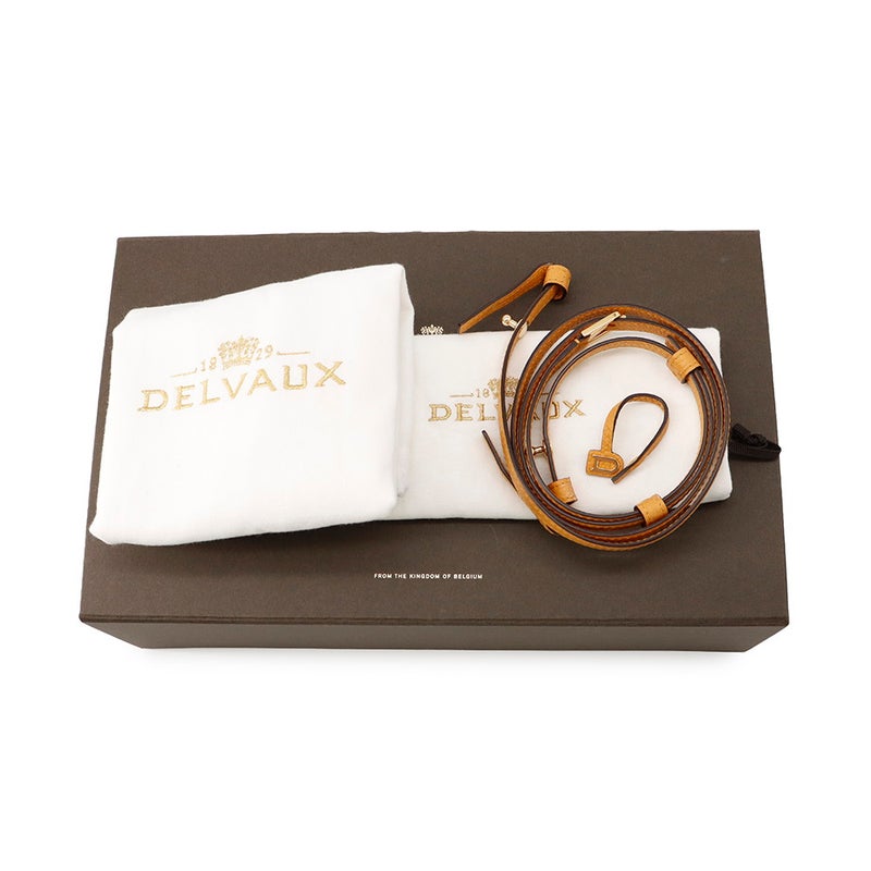 デルボー ハンドバッグ クールボックス ナノ トリヨンソフトレザー AA0567AQY0AZCDO Delvaux 2WAY