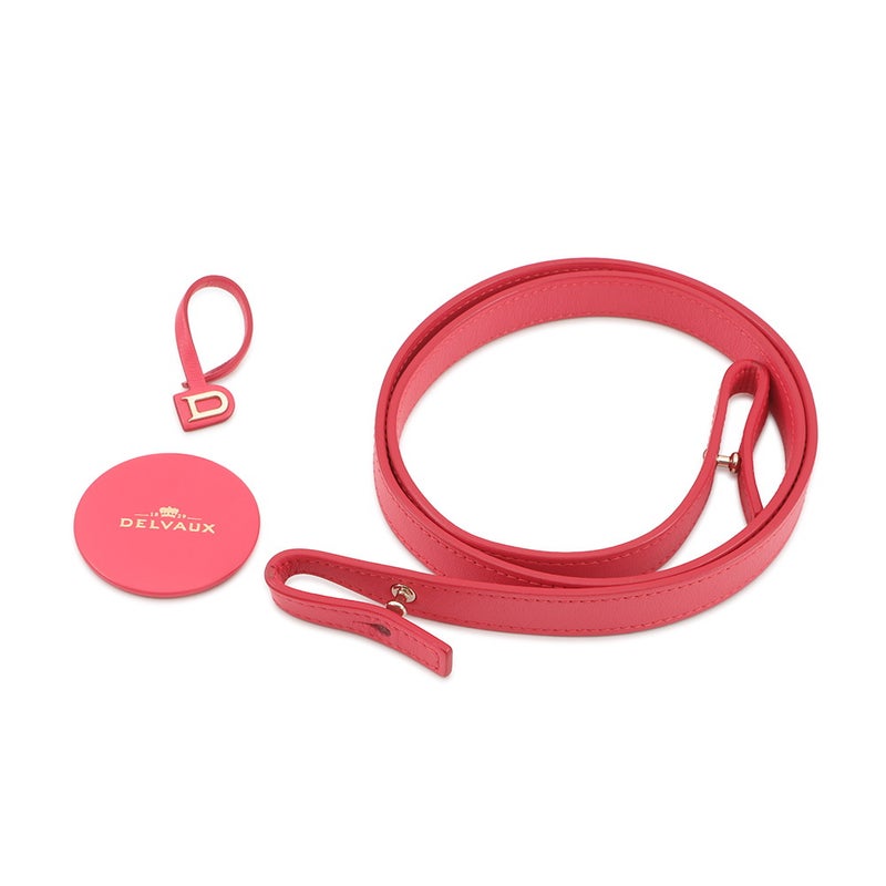 デルヴォー ハンドバッグ タンペートMM カーフレザー AA0368AAX0AEZDP Delvaux デルボー 2way