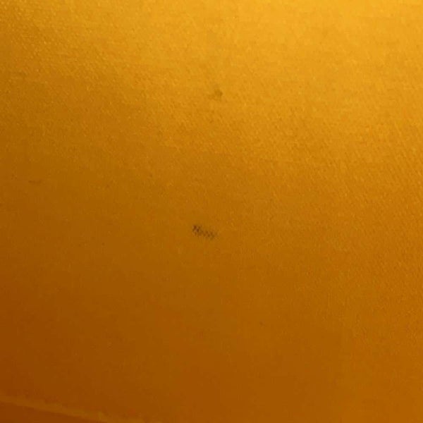 ゴヤール ショルダーバッグ ベルヴェデーレMM PVC レザー BELVE3MMLTY51CG51P GOYARD