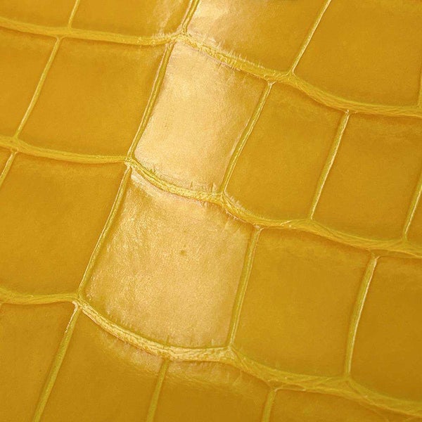 ルイヴィトン ハンドバッグ クロコダイル カプシーヌMINI N93372 LOUIS VUITTON 2way