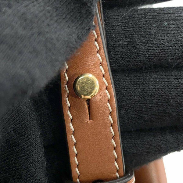 セリーヌ ハンドバッグ トリオンフ ミニ バーティカル カバ 194372 CELINE 2way