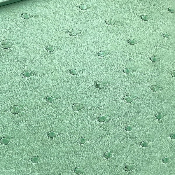 ルイヴィトン ハンドバッグ オーストリッチ カプシーヌ BB LOUIS VUITTON 2way ショルダーバッグ