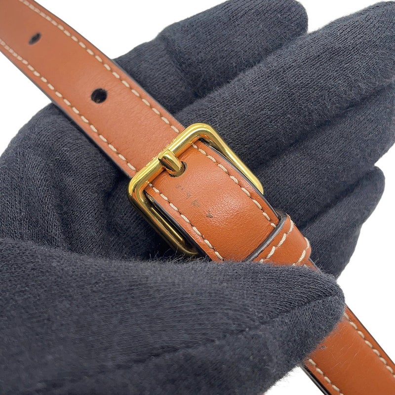 セリーヌ ショルダーバッグ ミニ ブザス トリオンフ 196702BZJ.04LU CELINE バッグ ポーチ