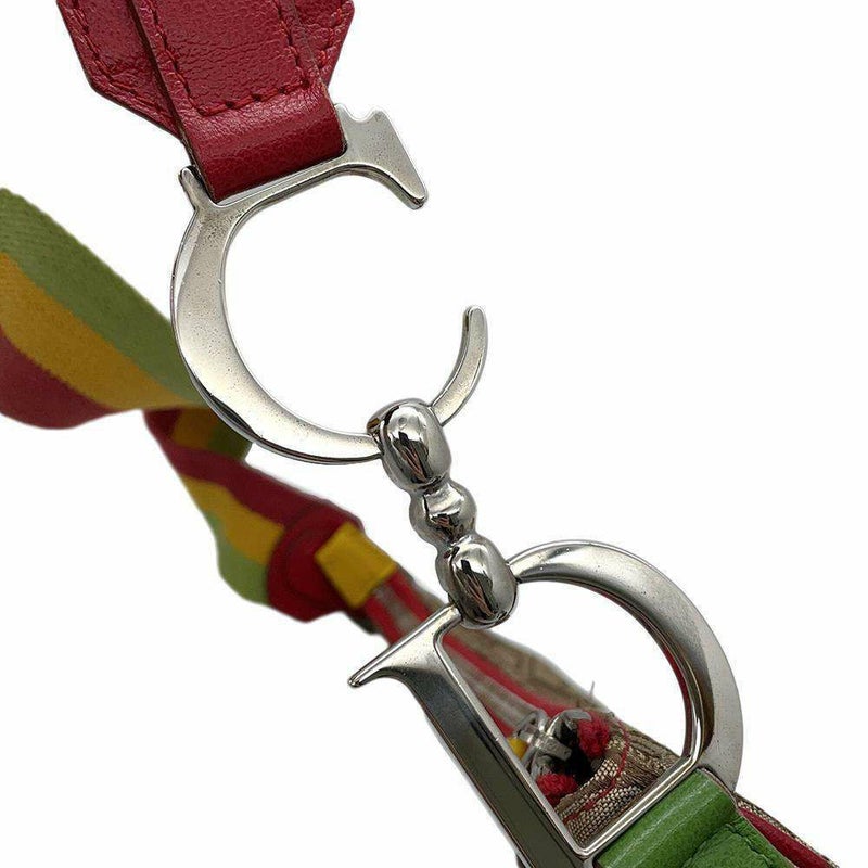 クリスチャン・ディオール ショルダーバッグ ラスタカラー オブリーク サドルバッグ Christian Dior トロッター