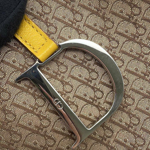 クリスチャン・ディオール ショルダーバッグ ラスタカラー オブリーク サドルバッグ Christian Dior トロッター