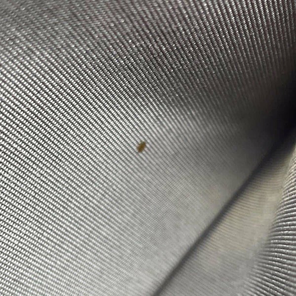 シャネル チェーンウォレット ココマーク キャビアスキン CHANEL 財布