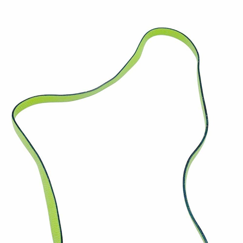 エルメス ショルダーバッグ エブリンTPM アップルグリーン/シルバー金具 トリヨンクレマンス □F刻印 HERMES Evelyne