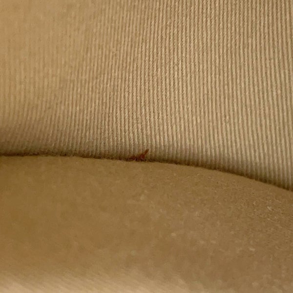 クロエ ハンドバッグ テス TESS スモール クロコ型押しレザー CHC19SS153A876J5 Chloe 2way