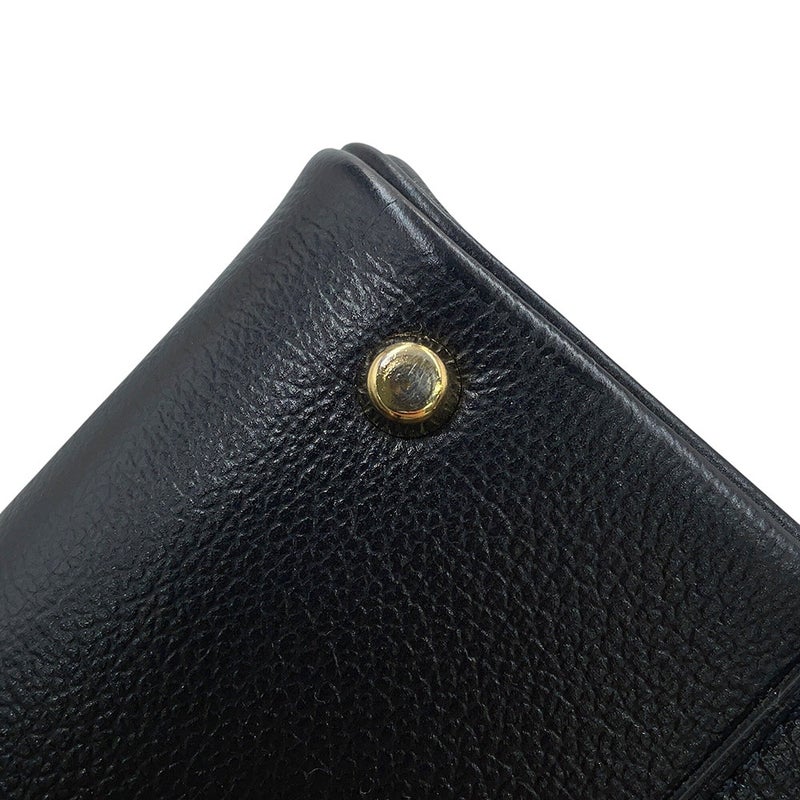 デルヴォー ハンドバッグ ブリヨンPM ボックスカーフレザー AA0569AAM099ZDO Delvaux 黒