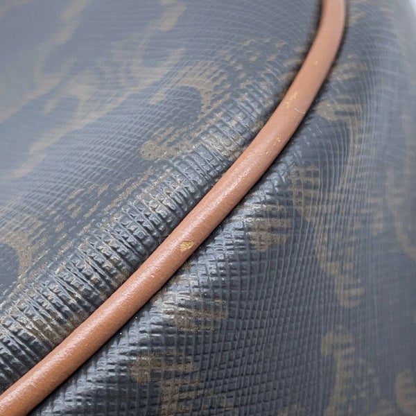 セリーヌ ショルダーバッグ トリオンフ アヴァ Ava PVC/レザー 193952BZJ.04LU CELINE ワンショルダー