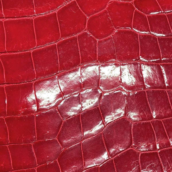 エルメス バーキン30 ブレイズ/シルバー金具 ポロサスシャイン □E刻印 HERMES Birkin ハンドバッグ