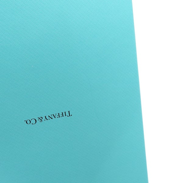 ティファニー ネックレス ハードウェア スモール リンク SV925シルバー 60153093 Tiffany&Co. ジュエリー