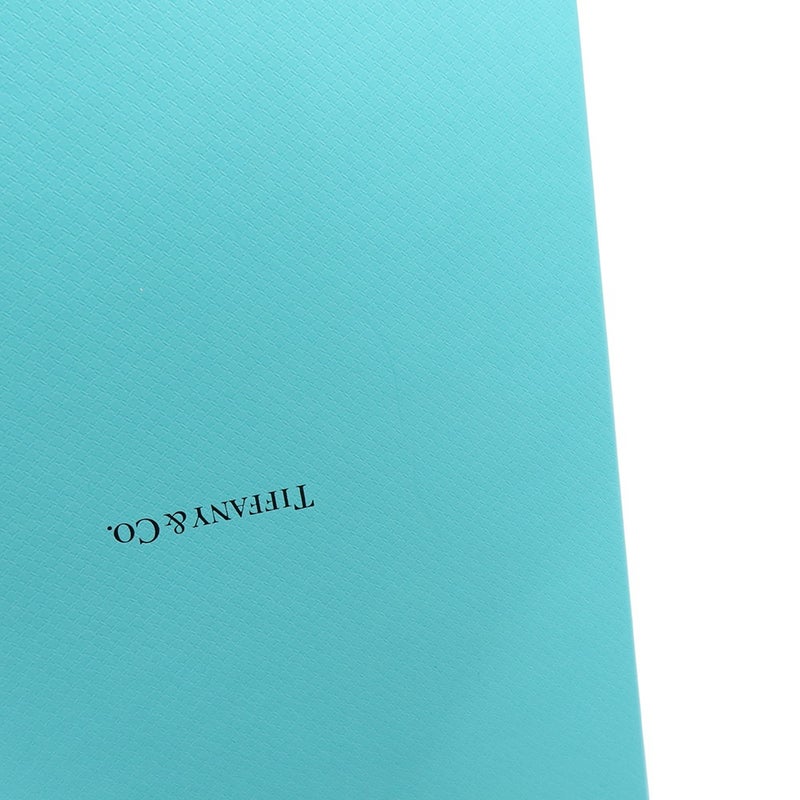 ティファニー ネックレス ハードウェア スモール リンク SV925シルバー 60153093 Tiffany&Co. ジュエリー