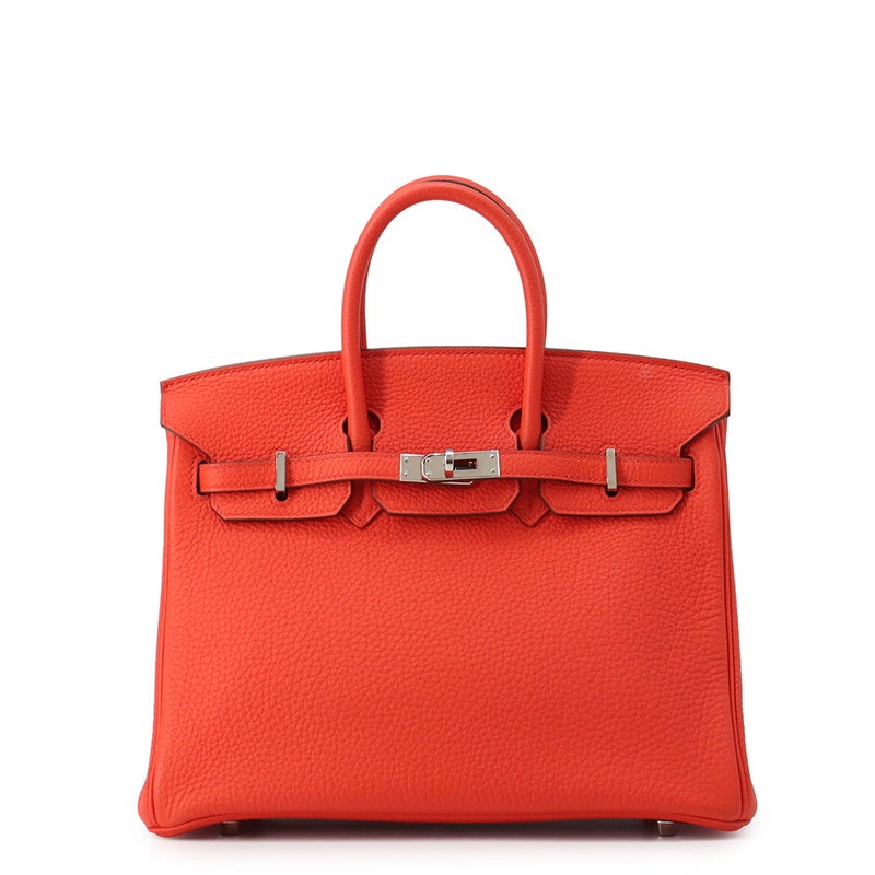 エルメス バーキン25 カプシーヌ/シルバー金具 トゴ T刻印 HERMES Birkin ハンドバッグ