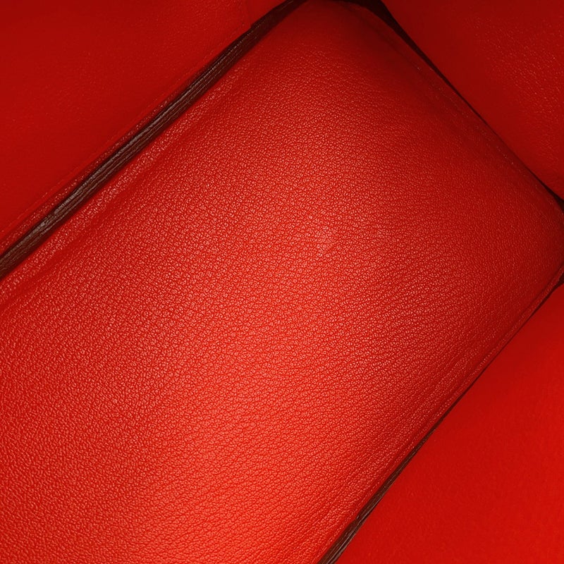 エルメス バーキン25 カプシーヌ/シルバー金具 トゴ T刻印 HERMES Birkin ハンドバッグ