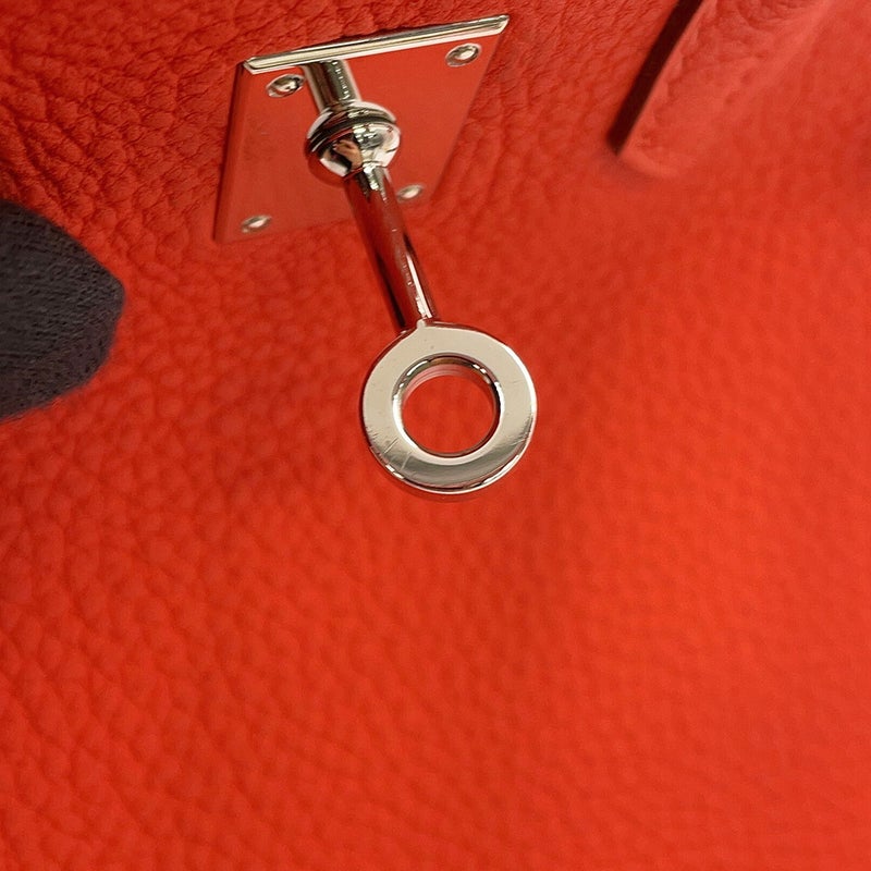 エルメス バーキン25 カプシーヌ/シルバー金具 トゴ T刻印 HERMES Birkin ハンドバッグ
