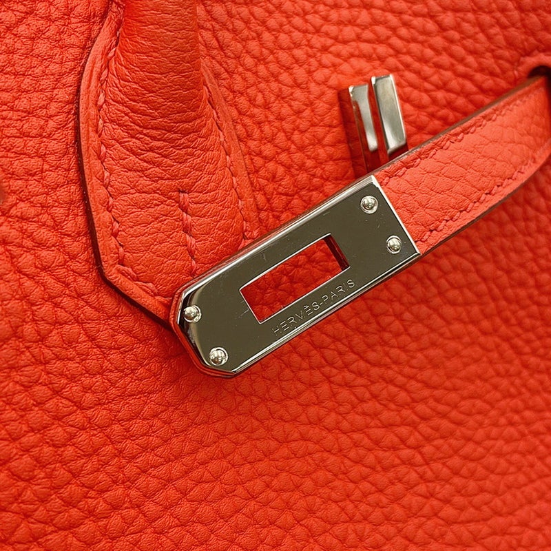 エルメス バーキン25 カプシーヌ/シルバー金具 トゴ T刻印 HERMES Birkin ハンドバッグ