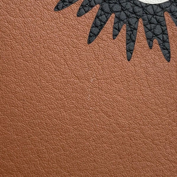 ロエベ カードケース スタジオジブリ 千と千尋の神隠し まっくろくろすけ C643Z40X01 コインケース フラグメントケース 黒