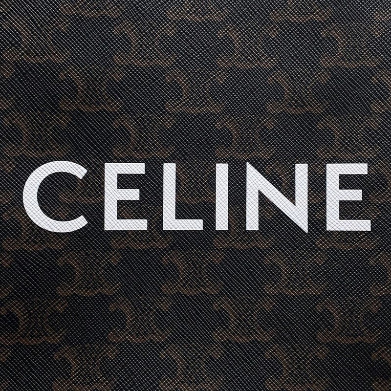 セリーヌ ハンドバッグ トリオンフ ミニ バーティカル カバ 194372 2wayショルダーバッグ