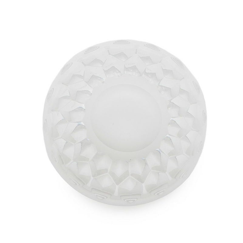 サンルイ グラス トレー ペアセット フォリア ルンゴ タンブラー ST LOUIS 食器