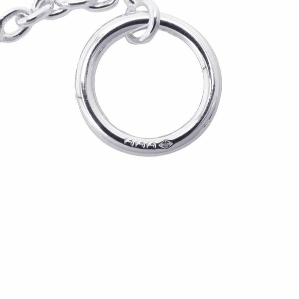 エルメス ネックレス シェーヌダンクル ファランドール 120 SV925シルバー HERMES ジュエリー