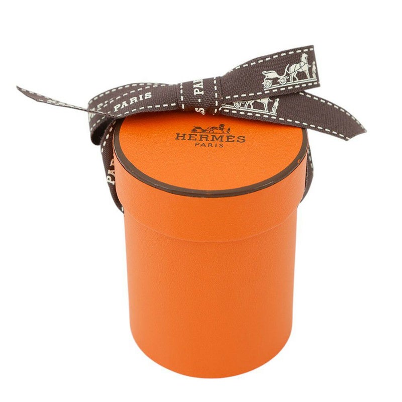 エルメス スカーフ ツイリー シュヴァロスコープ ネオン ポワンティエ 刺繍 シルク HERMES 2023春夏