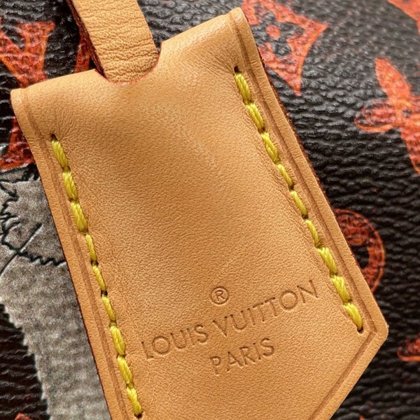 ルイヴィトン ハンドバッグ モノグラム/キャットグラム スピーディ・バンドリエール 30 M44401 ヴィトン 2way