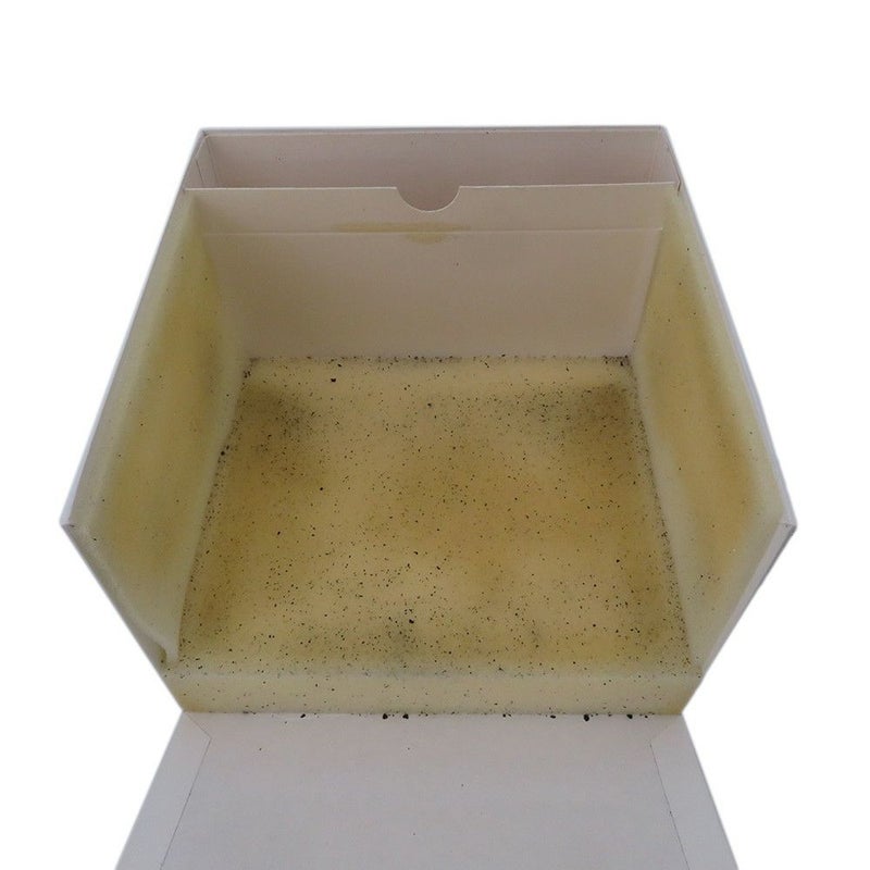 オメガ スピードマスター レーシング ミハエル・シューマッハ レジェンド 3559.32 世界6000本限定 白文字盤