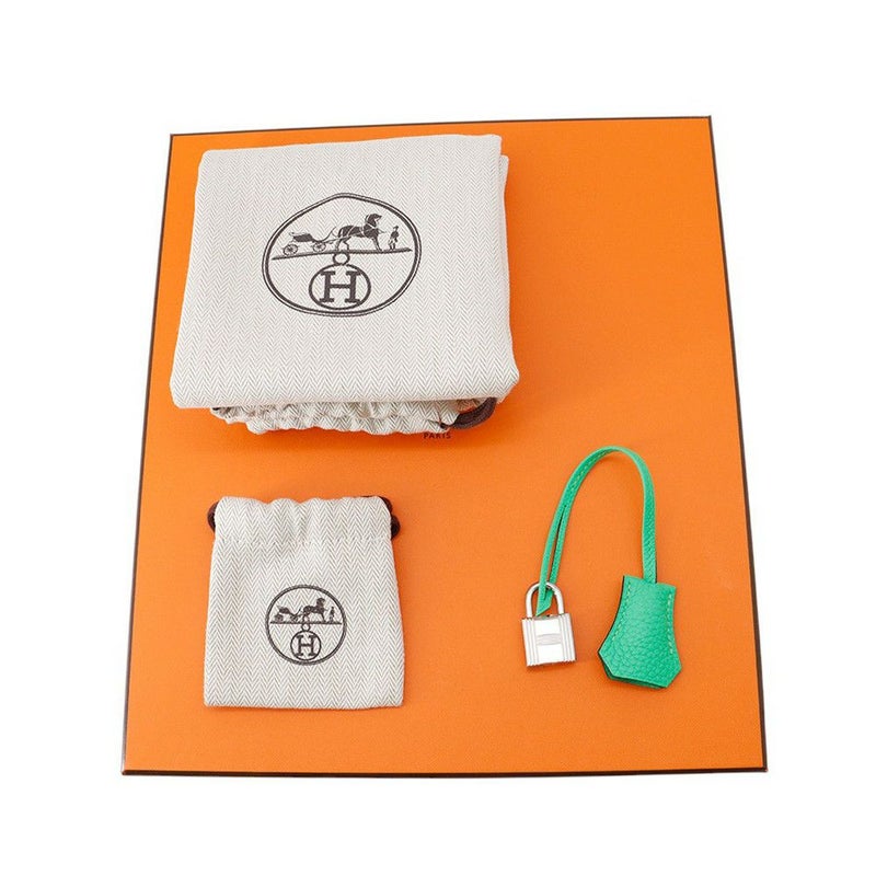 エルメス バーキン25 ヴェールコミック/シルバー金具 トゴ W刻印HERMES Birkin ハンドバッグ