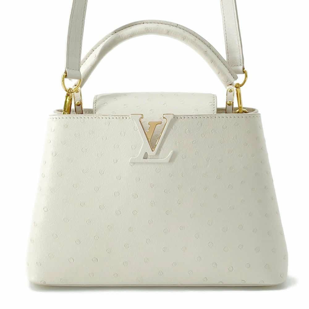【最終価格】ルイヴィトン カプシーヌBB オーストリッチ　レア ルイヴィトン ハンドバッグ オーストリッチ カプシーヌBB LOUIS