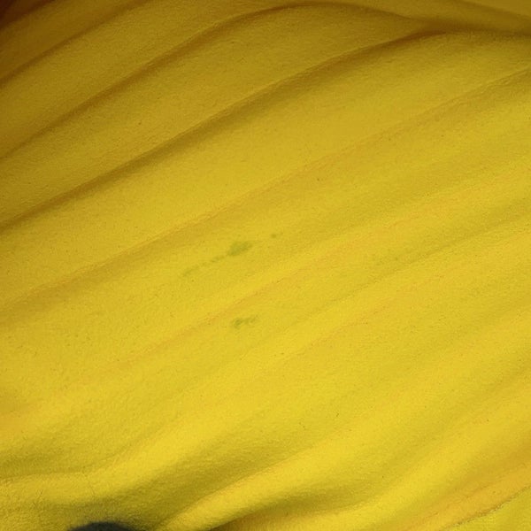 ロエベ ショルダーバッグ ブレスレット ポーチ A912P84X02 LOEWE 2wayクラッチバッグ