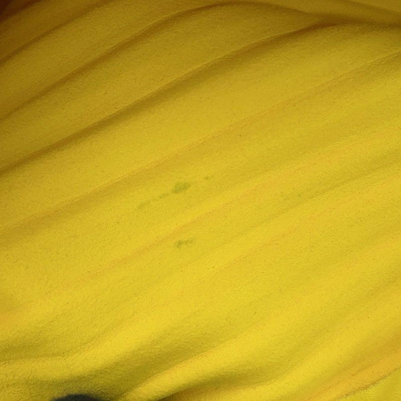 ロエベ ショルダーバッグ ブレスレット ポーチ A912P84X02 LOEWE 2wayクラッチバッグ