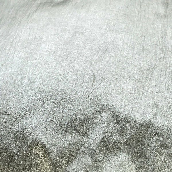 セリーヌ ダウンジャケット バックロゴ Parka in Nylon ナイロン メンズサイズ44 2W430819L CELINE アウター